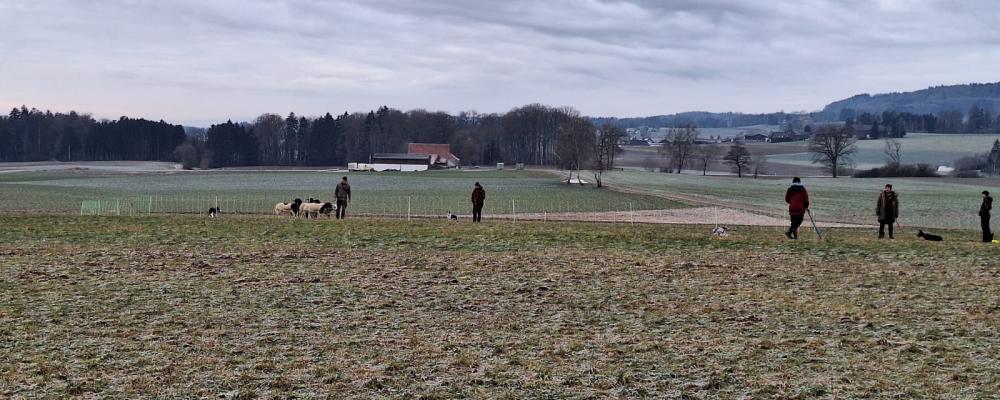 Winterkurs 2025